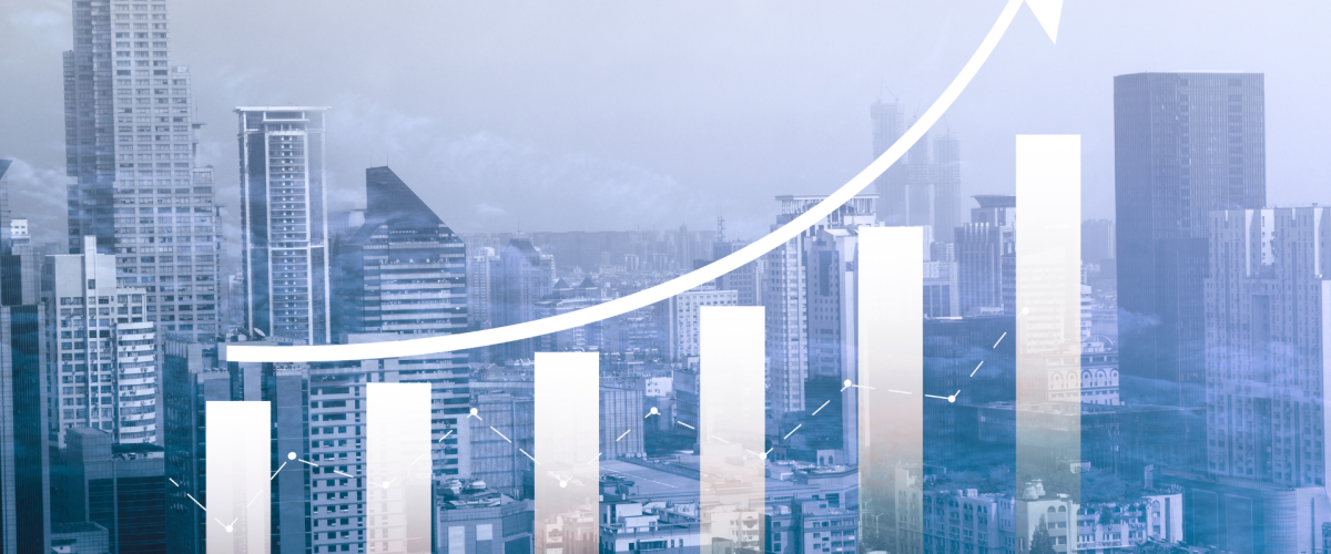 Focus Website Projects (3)